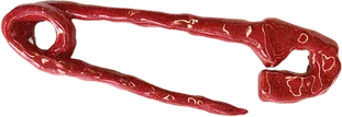 pin